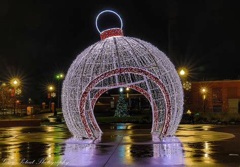 forest city christmas lights 2023